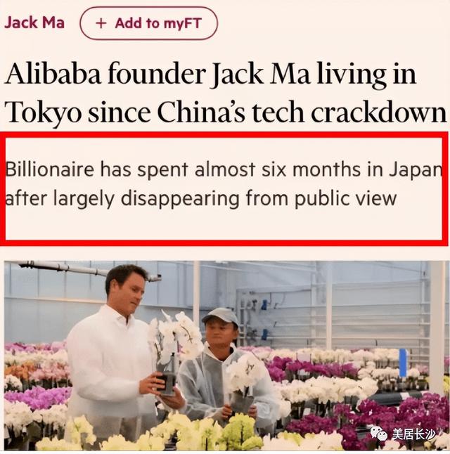 马云及其家人，为何在日本定居半年，也不回国？
