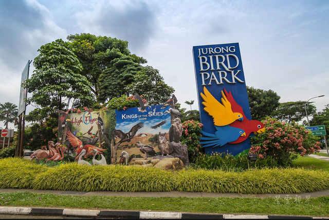 新加坡广告牌安装工一个月攒下的钱比在国内挣的都多