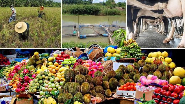 泰国计划2023年重新开放与马来西亚、老挝等的所有97个陆路过境点