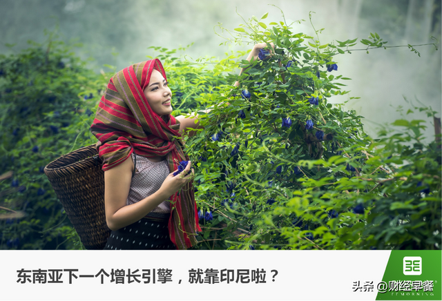 东南亚经济圈：越南行！印尼也行？