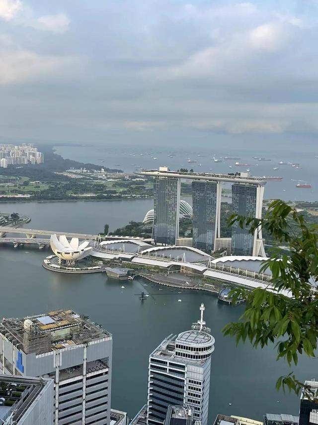 新加坡最富有的几大家族