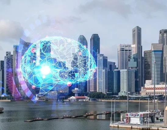 华人之光：新加坡华人的演变与历史