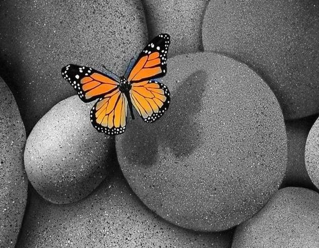 有关新加坡签证，一篇说个明白