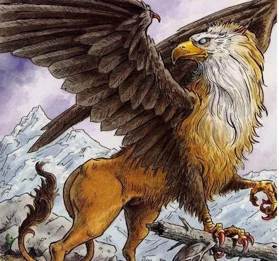 新冠新变种小宝宝（XBB）将会在美国成为主要感染变种