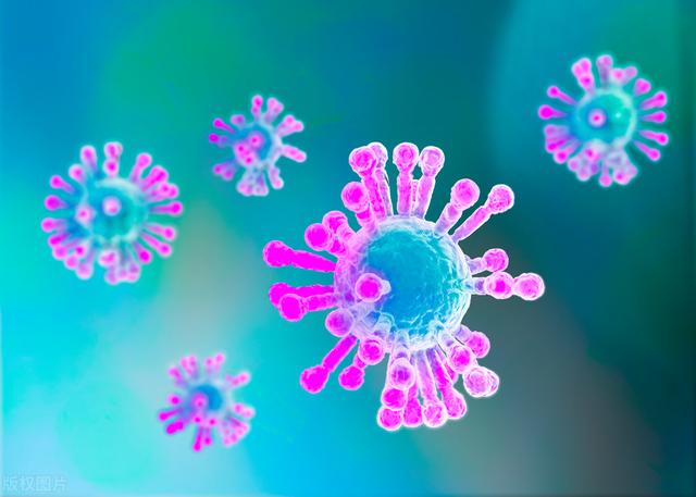 “地狱犬”在日本杀疯了？