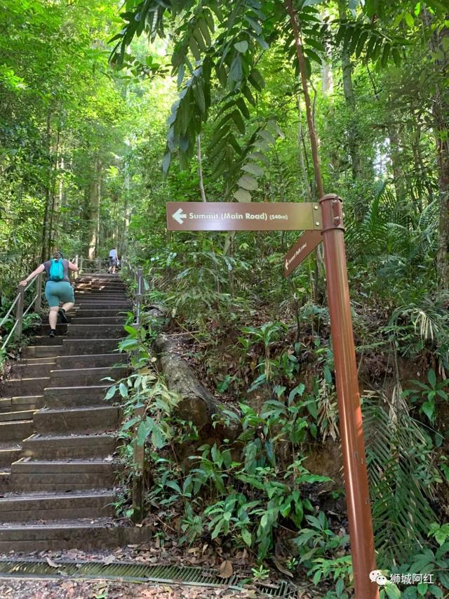 “我登上了新加坡的最高峰，还看到了九寨沟”