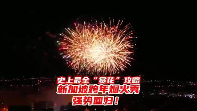 史上最全“赏花”攻略！新加坡跨年烟火秀强势回归！ #新加坡
