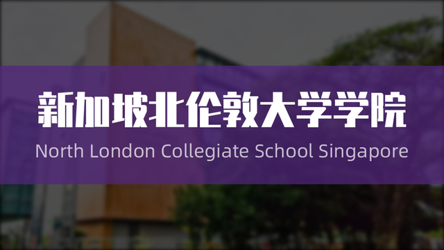 双语教学渡过语言关｜新加坡有哪些国际学校提供早期中文双语教学