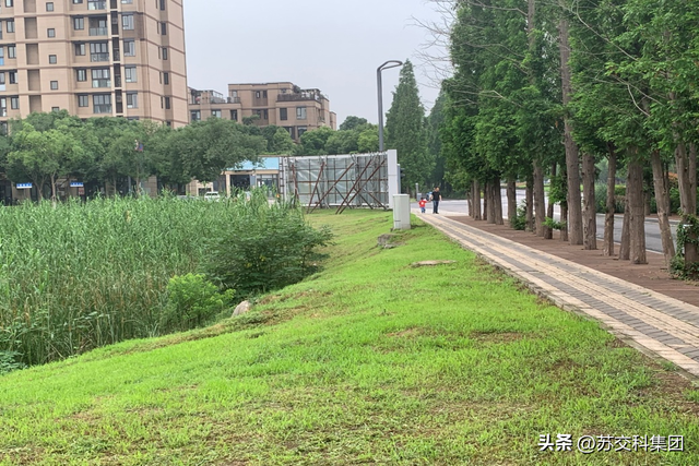 匠心镌刻 • 品质项目 | 新加坡·南京生态科技岛市政道路工程