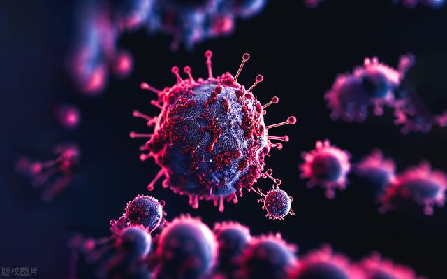 BA.5和BF.7在美国已退场，XBB来势凶猛，可增加重复感染几率