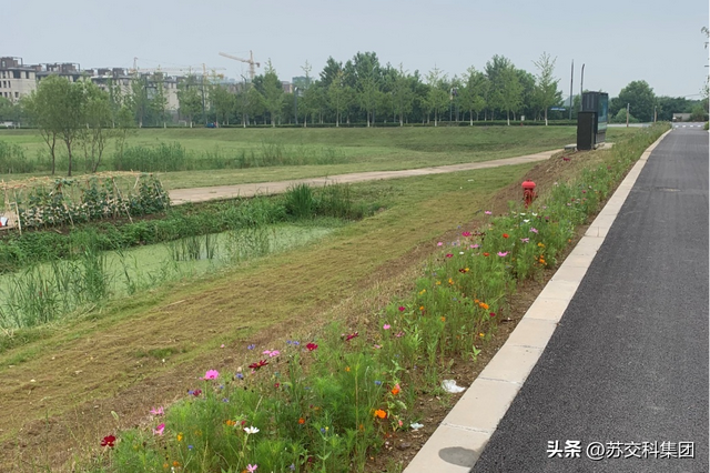 匠心镌刻 • 品质项目 | 新加坡·南京生态科技岛市政道路工程