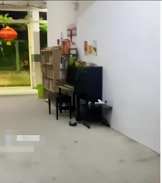 新加坡外卖小哥组屋走廊秀琴艺，网友：飘逸的长发和琴声好般配