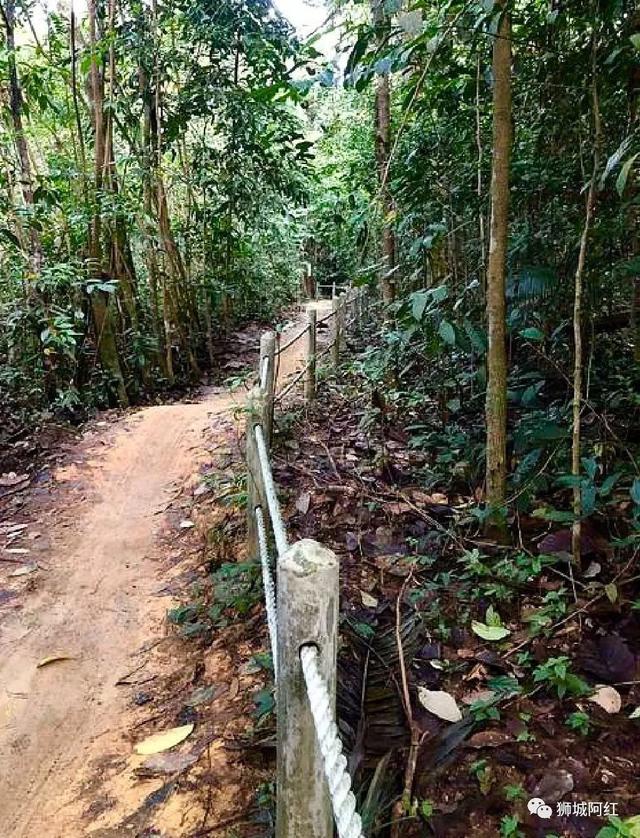 “我登上了新加坡的最高峰，还看到了九寨沟”