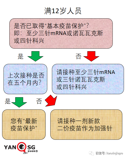 室内不强制戴口罩已满100天，新加坡开放12岁以上人员接种辉瑞新款二价疫苗