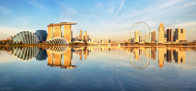 新加坡公司的注销应该向哪个部门递交申请？