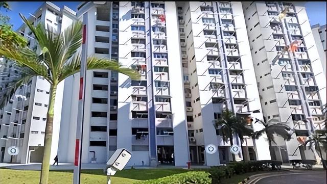 新加坡投机分子借房租大涨昧心捞钱，网友怒怼：吃相太难看