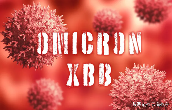 奥密克戎最新变种强势而来！美国已深陷泥潭，我们如何应对？