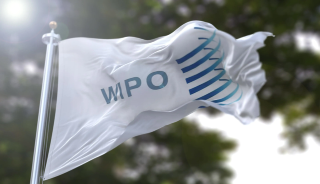 2020年中国候选人败选WIPO总干事：美国暗箱操作，投出55张反对票