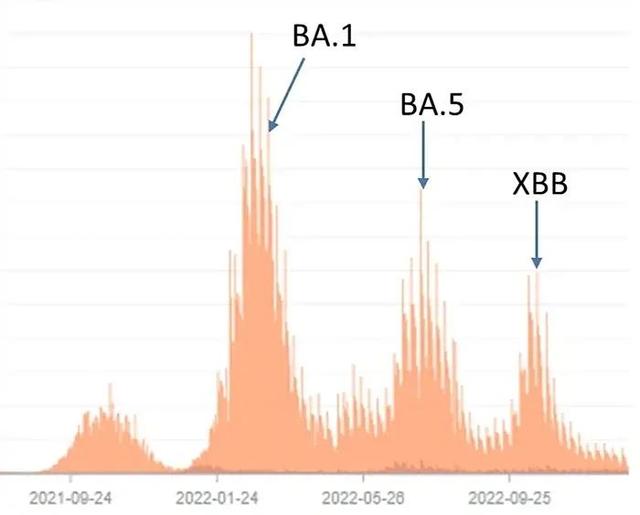 XBB1.5要来了，会给我们带来二次感染吗？新加坡数据告诉你答案