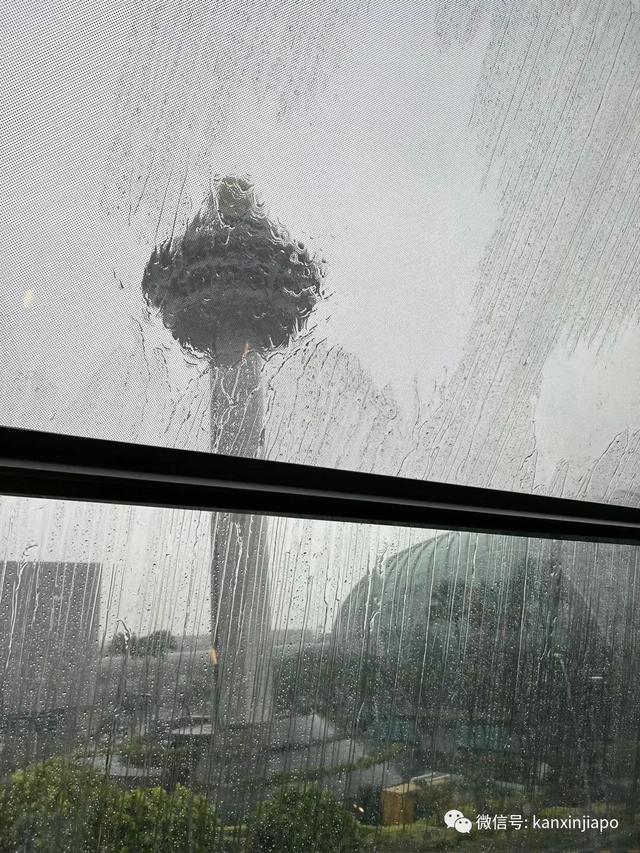 雨雨雨雨，30年来最低日均温度！新加坡是想在这个春节冻死我吗？