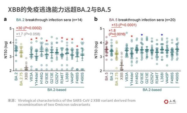 新加坡数据显示XBB重症和致死率皆有所下降，它也并不更爱攻击肠道……