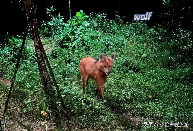 新加坡之旅，来这5个打卡点，必定让她难忘，亚洲四小龙之一！