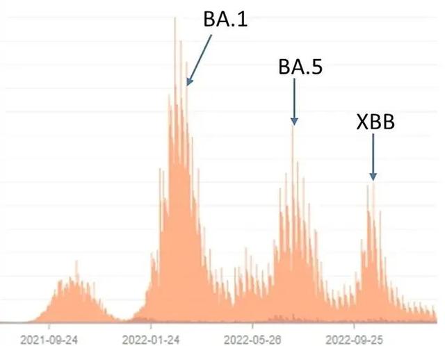 XBB1.5要来了，会给我们带来二次感染吗？新加坡数据告诉你答案