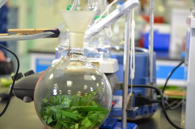 新加坡国立大学硕士申请（16）——食品科学与技术硕士