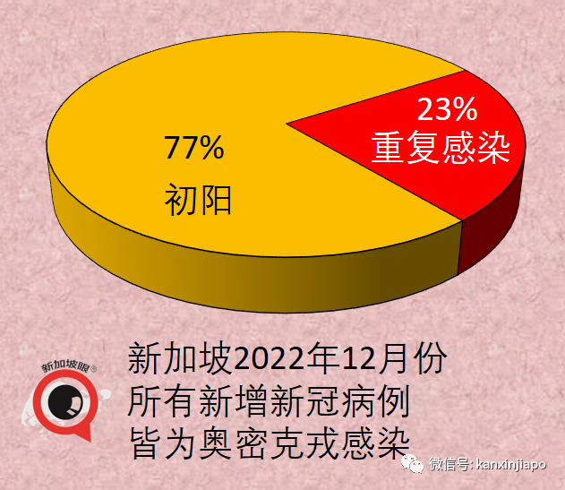 独家｜问候语“阳了没”早已out了！新加坡现在每四人就有个“王重阳”