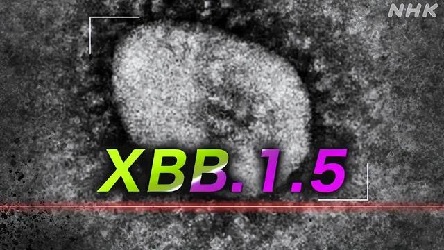 中国人“爆买”,药品成最受欢迎“伴手礼”?日本政府紧急限购!