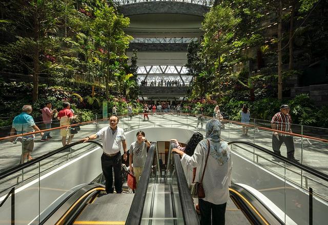 新加坡樟宜机场翻新后更美了？！网友惊叹：给同行留点活路吧…