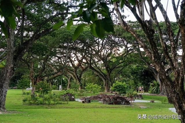 中心地带的第一个国家花园-新加坡Jurong Lake Gardens