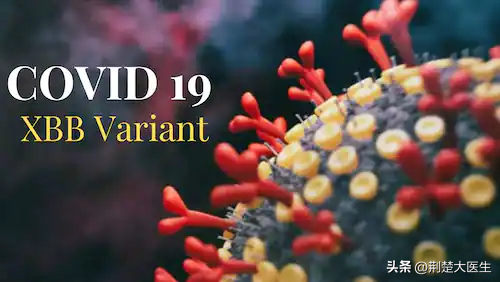 在日本“杀疯了”的“地狱犬”毒株已流入我国？别慌，情况没你想的那么糟