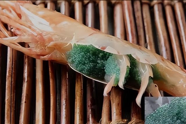 新加坡人一年吃掉多少只虾？看到答案：走！卖虾赚钱去！