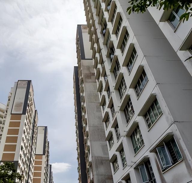 拍到啦！新加坡一居住区弥漫尿骚味，居民轮流巡夜缉“真凶”