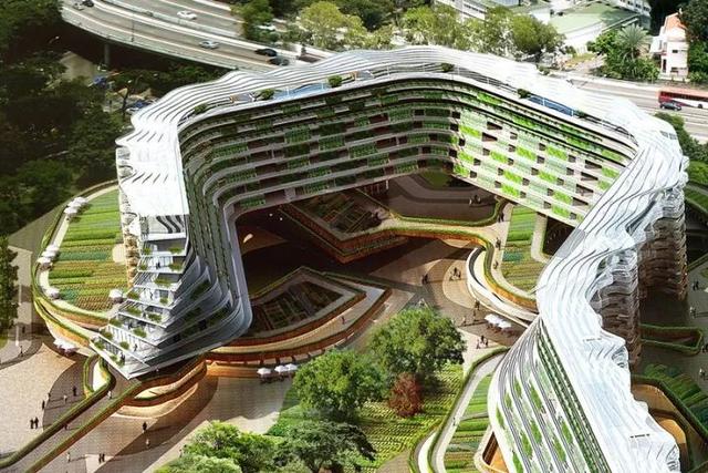 乡村振兴研究：满是“科技与狠活”的新加坡“都市农业”