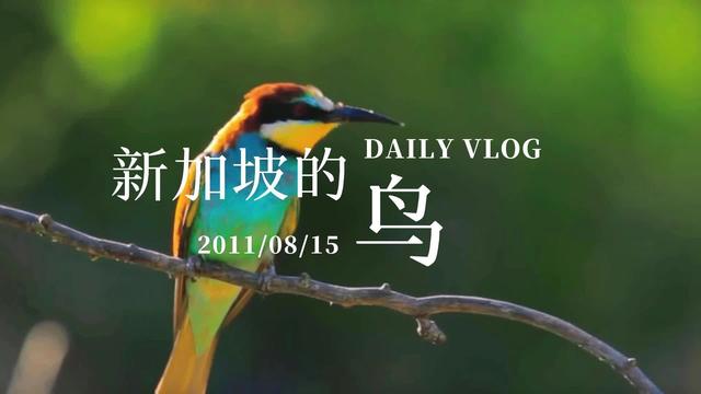 《新加坡的鸟》