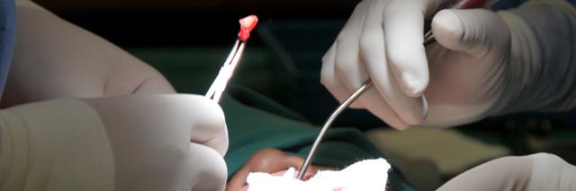 新加坡国立大学硕士申请（66）——口腔颌面外科