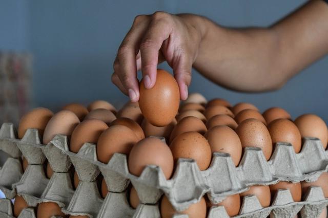 马来西亚6月起可自定鸡肉与鸡蛋价格 以解决粮食短缺问题