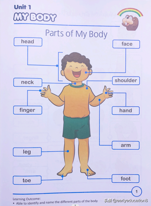 新加坡rainbow（SAP彩虹系列）练习册幼小衔接Science