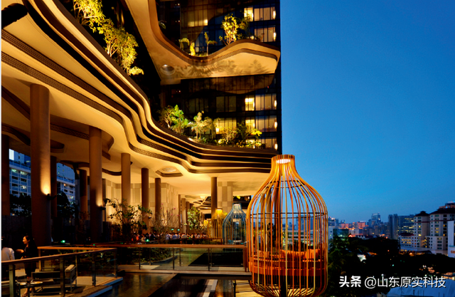 T新加坡-皇家公园酒店灯光设计