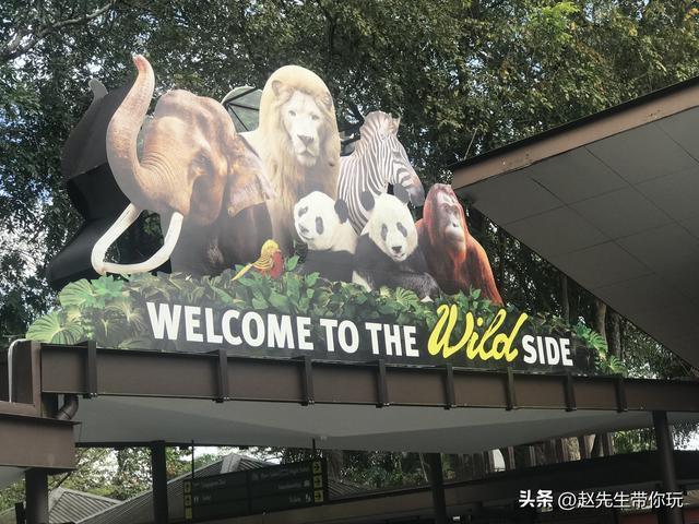 二十年游历分享之307：亚洲86：新加坡23 新加坡动物园1 简介