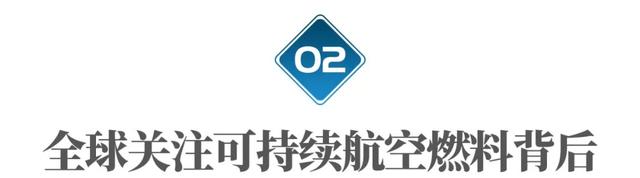 全球打响“地沟油”争夺战：美国有人专门偷，一天能赚1500美元