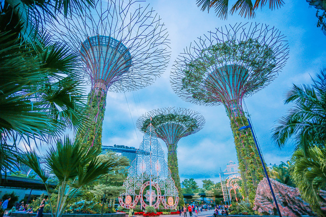 新加坡|狮城的魅力