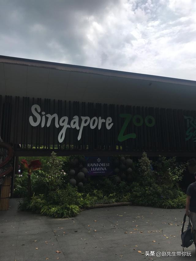 二十年游历分享之308：亚洲87：新加坡24 新加坡动物园2 阿明餐厅