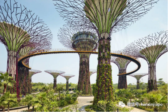 滨海湾九大打卡地，每一个都能看到不一样的新加坡