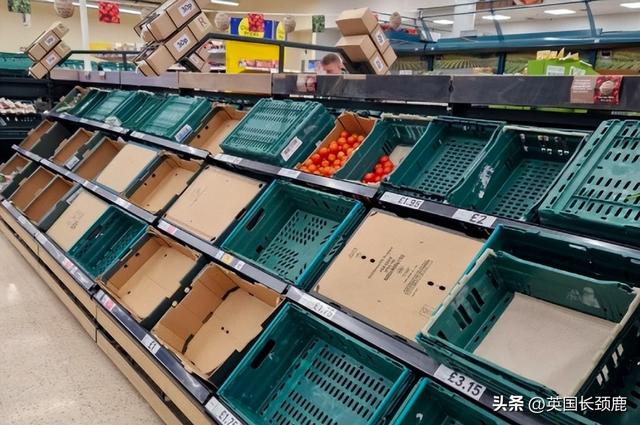 英国番茄短缺大预警！内政部花30万英镑与哈里打官司！