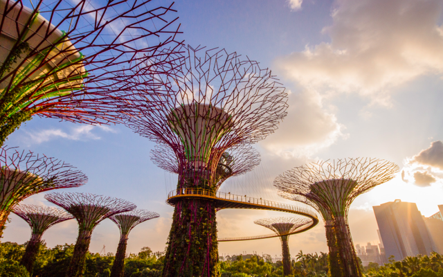 新加坡旅游局潘政志：“灵活性”或将成为旅游行业发展关键词