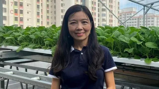 城市农场：新加坡如何把多层停车场变成农场
