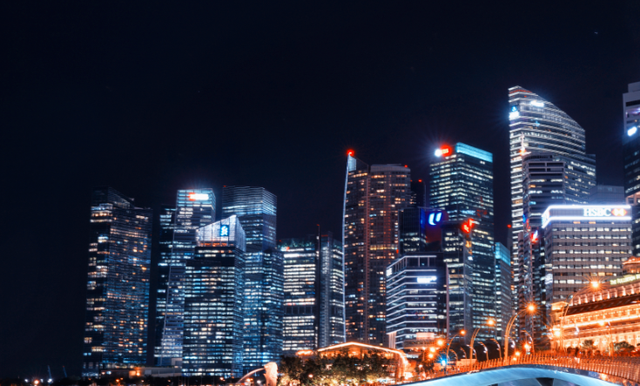 注册新加坡公司的类型有哪些？以及注册的条件是？